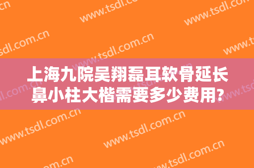 上海九院吴翔磊耳软骨延长鼻小柱大楷需要多少费用?效果怎么样?