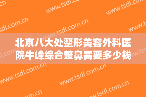 北京八大处整形美容外科医院牛峰综合整鼻需要多少钱?好不好?(八大处整形鼻子价格)