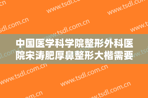 中国医学科学院整形外科医院宋涛肥厚鼻整形大楷需要多少费用?多长时间恢复?