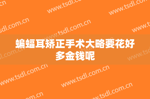 蝙蝠耳矫正手术大略要花好多金钱呢