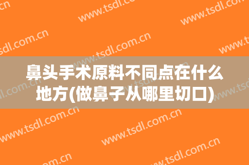 鼻头手术原料不同点在什么地方(做鼻子从哪里切口)