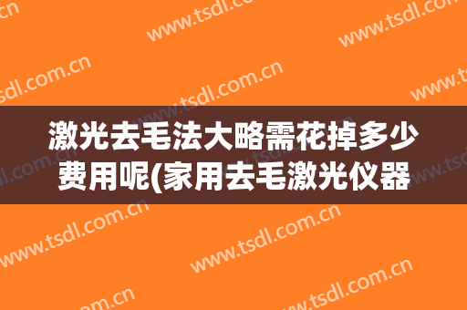 激光去毛法大略需花掉多少费用呢(家用去毛激光仪器)