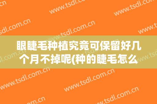 眼睫毛种植究竟可保留好几个月不掉呢(种的睫毛怎么保持长久不掉)
