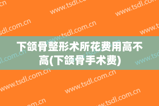 下颌骨整形术所花费用高不高(下颌骨手术费)