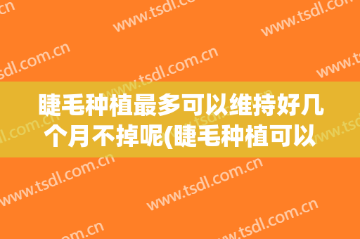 睫毛种植最多可以维持好几个月不掉呢(睫毛种植可以维持多久)
