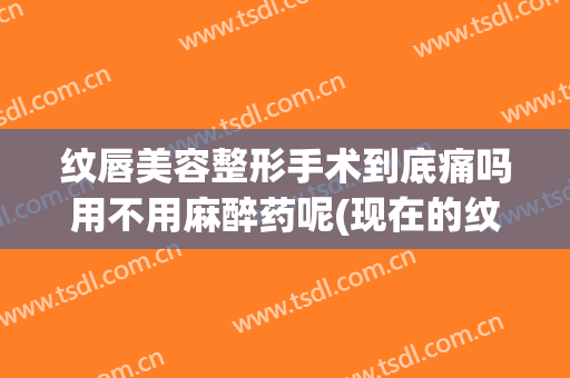 纹唇美容整形手术到底痛吗用不用麻醉药呢(现在的纹唇技术还会痛吗)