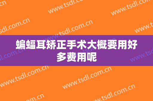 蝙蝠耳矫正手术大概要用好多费用呢