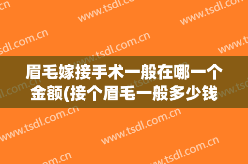 眉毛嫁接手术一般在哪一个金额(接个眉毛一般多少钱)