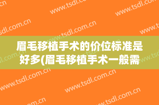 眉毛移植手术的价位标准是好多(眉毛移植手术一般需要多少钱)