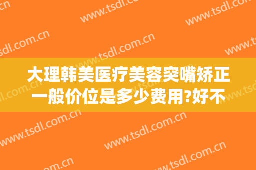 大理韩美医疗美容突嘴矫正一般价位是多少费用?好不好?(大理韩美整形美容医院是正规医院吗)