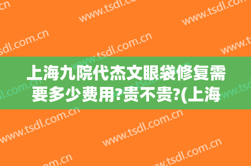 上海九院代杰文眼袋修复需要多少费用?贵不贵?(上海九院做眼袋大概多少钱)