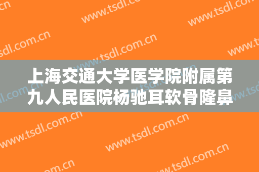 上海交通大学医学院附属第九人民医院杨驰耳软骨隆鼻尖价格表!好不好?