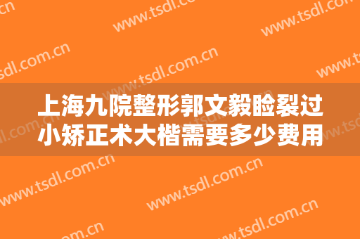 上海九院整形郭文毅睑裂过小矫正术大楷需要多少费用?多长时间恢复?