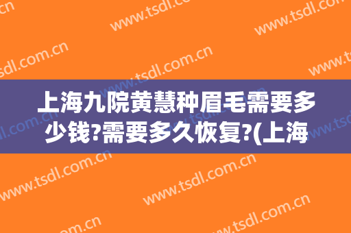 上海九院黄慧种眉毛需要多少钱?需要多久恢复?(上海九院洗眉毛多少钱)