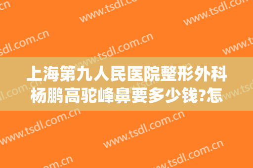 上海第九人民医院整形外科杨鹏高驼峰鼻要多少钱?怎么样?(上海第九医院鼻子整形多少钱)