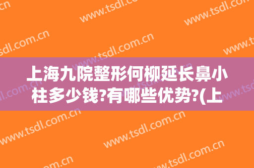 上海九院整形何柳延长鼻小柱多少钱?有哪些优势?(上海九院整形鼻子)