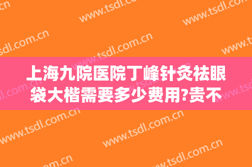 上海九院医院丁峰针灸祛眼袋大楷需要多少费用?贵不贵?(九院丁伟去眼袋)