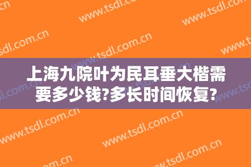 上海九院叶为民耳垂大楷需要多少钱?多长时间恢复?