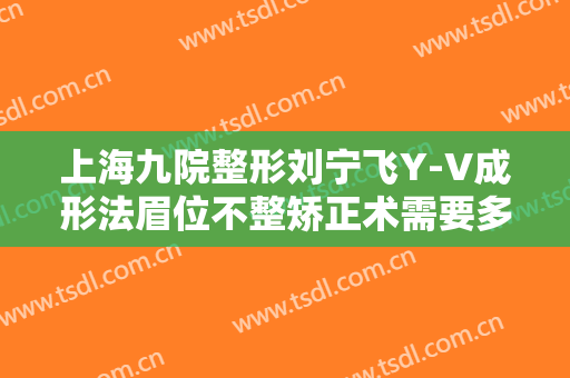 上海九院整形刘宁飞Y-V成形法眉位不整矫正术需要多少钱?效果怎么样?