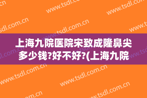 上海九院医院宋致成隆鼻尖多少钱?好不好?(上海九院整鼻子多少钱)