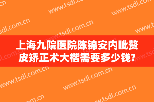 上海九院医院陈锦安内眦赘皮矫正术大楷需要多少钱?靠谱吗?