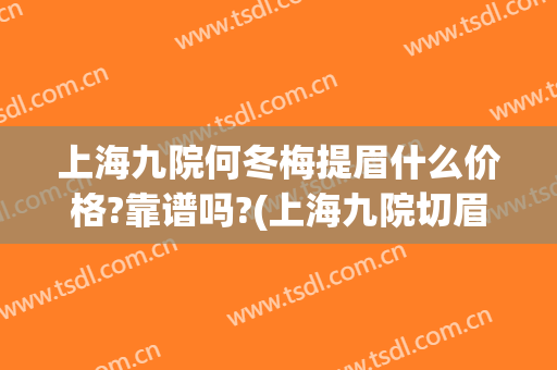上海九院何冬梅提眉什么价格?靠谱吗?(上海九院切眉)