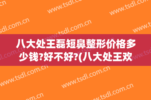 八大处王磊短鼻整形价格多少钱?好不好?(八大处王欢5万块鼻整形)