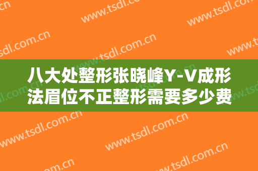 八大处整形张晓峰Y-V成形法眉位不正整形需要多少费用?贵不贵?