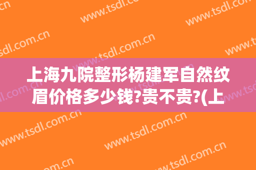 上海九院整形杨建军自然纹眉价格多少钱?贵不贵?(上海九院 纹眉)