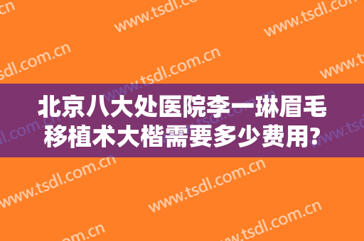 北京八大处医院李一琳眉毛移植术大楷需要多少费用?贵不贵?