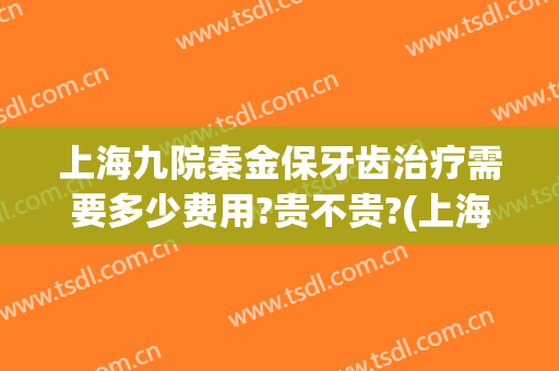 上海九院秦金保牙齿治疗需要多少费用?贵不贵?(上海九院 牙齿价目表)
