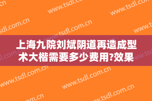 上海九院刘斌阴道再造成型术大楷需要多少费用?效果怎么样?