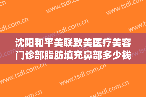沈阳和平美联致美医疗美容门诊部脂肪填充鼻部多少钱?怎么样?(沈阳美联致美整形医院)