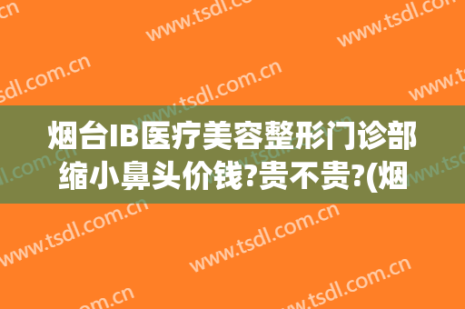 烟台IB医疗美容整形门诊部缩小鼻头价钱?贵不贵?(烟台ib整形入股15万)