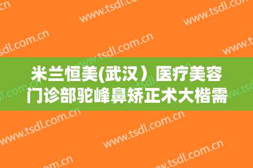 米兰恒美(武汉）医疗美容门诊部驼峰鼻矫正术大楷需要多少费用?靠谱吗?