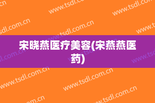 宋晓燕医疗美容(宋燕燕医药)