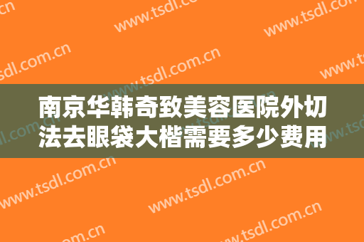 南京华韩奇致美容医院外切法去眼袋大楷需要多少费用?靠谱吗?