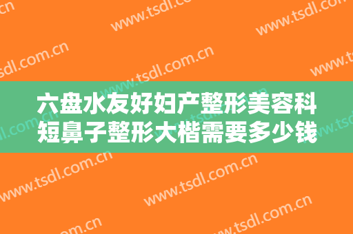 六盘水友好妇产整形美容科短鼻子整形大楷需要多少钱?怎么样?
