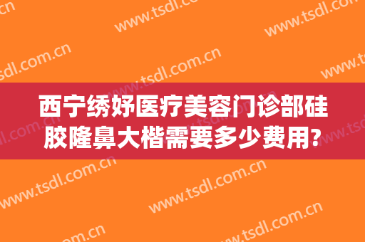 西宁绣妤医疗美容门诊部硅胶隆鼻大楷需要多少费用?贵不贵?(妤绣整形怎么样)