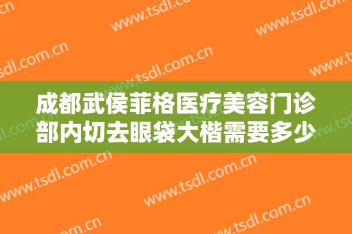 成都武侯菲格医疗美容门诊部内切去眼袋大楷需要多少费用?效果怎么样?