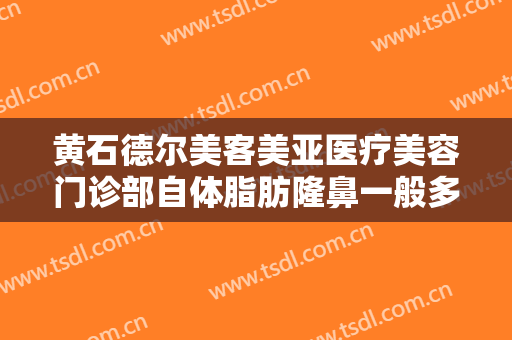 黄石德尔美客美亚医疗美容门诊部自体脂肪隆鼻一般多少钱?效果怎么样?