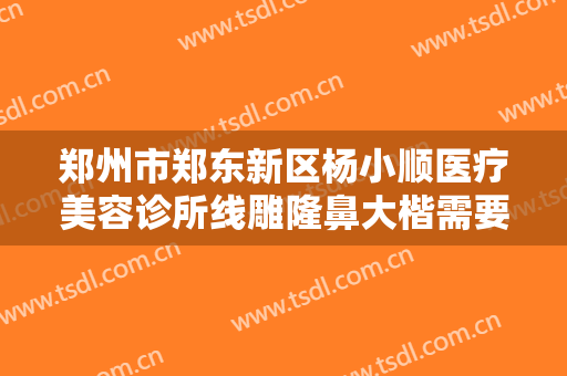 郑州市郑东新区杨小顺医疗美容诊所线雕隆鼻大楷需要多少费用?怎么样?