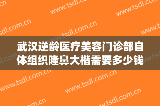 武汉逆龄医疗美容门诊部自体组织隆鼻大楷需要多少钱?好不好?(武汉隆鼻整形的价格)