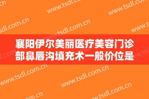 襄阳伊尔美丽医疗美容门诊部鼻唇沟填充术一般价位是多少钱?好不好?
