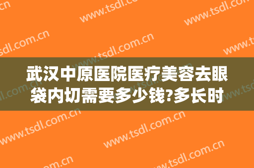 武汉中原医院医疗美容去眼袋内切需要多少钱?多长时间恢复?(华美整形美容医院做眼袋多少钱)