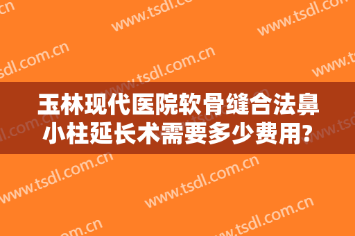 玉林现代医院软骨缝合法鼻小柱延长术需要多少费用?怎么样?