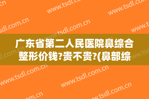 广东省第二人民医院鼻综合整形价钱?贵不贵?(鼻部综合整容价钱)