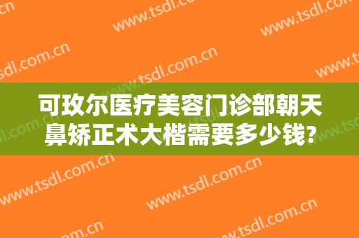 可玫尔医疗美容门诊部朝天鼻矫正术大楷需要多少钱?需要多久恢复?