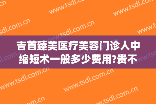 吉首臻美医疗美容门诊人中缩短术一般多少费用?贵不贵?(吉首臻美整形)