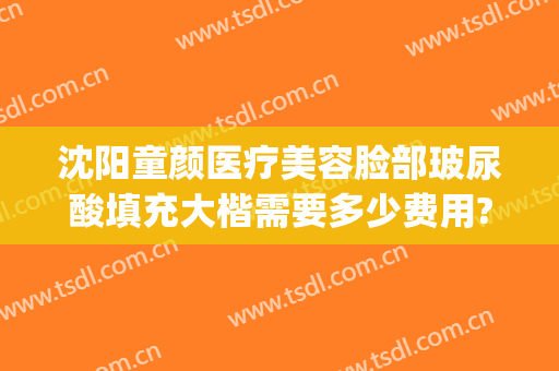 沈阳童颜医疗美容脸部玻尿酸填充大楷需要多少费用?效果怎么样?(沈阳童颜医疗美容价格表)
